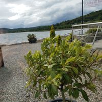 view at Creagan Inn in Appin