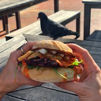 Mushroom burger with pigeon photobomb at VeganBurgz in Fortitude Valley