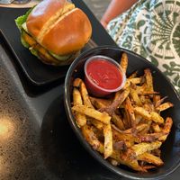Galaxy burger and fries at Copper Branch in Edmonton