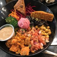 Aristotle Bowl at Copper Branch in Edmonton