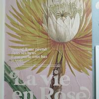  at Chocolate Lab in Belo Horizonte