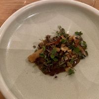 Starter at Yerba in Amsterdam