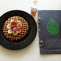Vegan Waffles at Biotica in San Luis Potosi