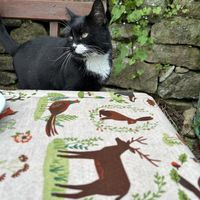   at Scarthin Books Cafe in Cromford