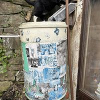   at Scarthin Books Cafe in Cromford