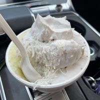Pineapple mint, coconut chia with whipped coconut cream at Freshest Natural Ice Creams in San Antonio