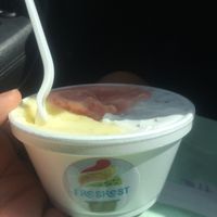 Brazilian(Pineapple w/mint), Watermelon and Coconut w/Chia seeds at Freshest Natural Ice Creams in San Antonio