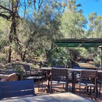  at The Bean Tree Cafe in Alice Springs
