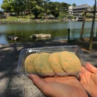 ¥130 per Mochi  at Nakatanidou in Nara