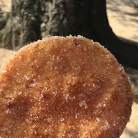 Cinnamon sugar rice cake at Nakatanidou in Nara