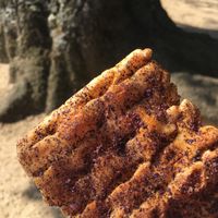 Soy flavored rice cake at Nakatanidou in Nara