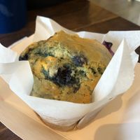 Blueberry muffin at Fermento in Long Beach
