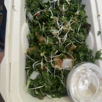 Massaged kale salad  at The Reizod Vegan Experience in Columbia