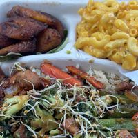 Amazing Hibachi   at The Reizod Vegan Experience in Columbia