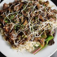   at The Reizod Vegan Experience in Columbia