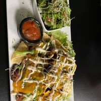  at The Reizod Vegan Experience in Columbia