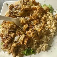  at The Reizod Vegan Experience in Columbia