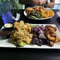   at The Reizod Vegan Experience in Columbia