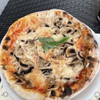 Pizza with vegan cheese and mushrooms  at Mister Pizza - Duomo in Florence