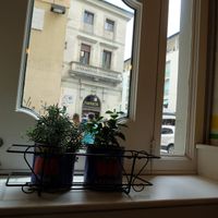 The view at Mister Pizza - Duomo in Florence