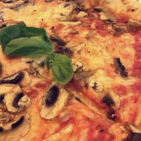 Fungi pizza with vegan cheese at Mister Pizza - Duomo in Florence