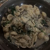 Oriecchette fungi  at Il Fornello - Danforth Ave in Toronto