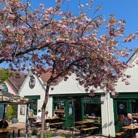  at Vutie Beets in Letchworth