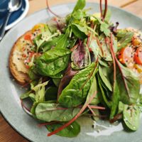 Tosta at YellowBird Coffee in Bremen