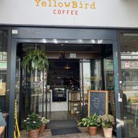   at YellowBird Coffee in Bremen