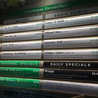 Salad bowl menu  at Squirrel in South West London