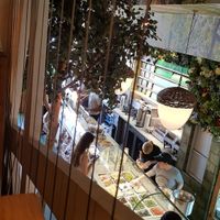 View from the tree house at Squirrel in South West London