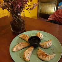 Vegan Gyozo at Kino in Barcelona