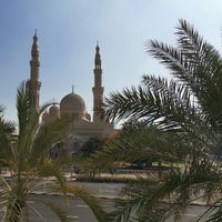 View from the terrace at Amongst Few in Dubai