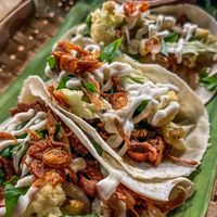 Jackfruit tacos  at Pituq Cafe in 