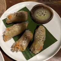 Spring rolls  at Pituq Cafe in 