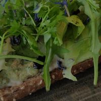 Sandwich avocado at Organic Vision in Oostende