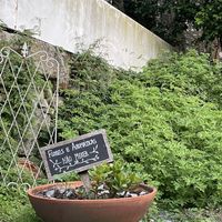 The terrace at Remedio Santo Campo Alegre in Porto