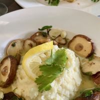 Shitake à Bulhão pato  at Remedio Santo Campo Alegre in Porto