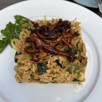 Shiitake  at Remedio Santo Campo Alegre in Porto