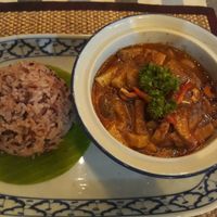 Masaman curry with brown rice at Massaman House in Chiang Mai
