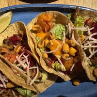   at Enchilada in Bremen