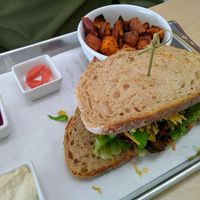 juice burger deluxe with roasted sweet potatoes at Verde Organic Cafe & Juice in Santa Fe