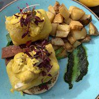   at Birdhouse in Sheffield