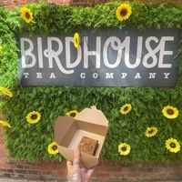  at Birdhouse in Sheffield