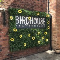   at Birdhouse in Sheffield