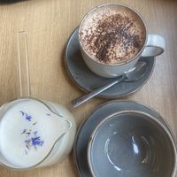   at Birdhouse in Sheffield