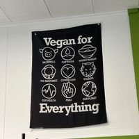  at The Vegan Grocery Store in North Tonawanda