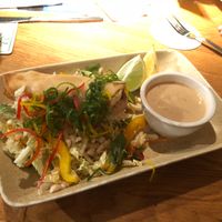 Vegan spring rolls (was two ?)  at Caboolture Sports Club in Morayfield