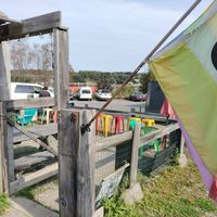 BYO Beer Garden at The Moody Dog - Food Truck in Belfast