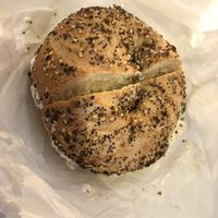 Everything bagel with artichoke n spinach   at Tompkins Square Bagels in New York City